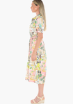 Tiger Island Tie Dress